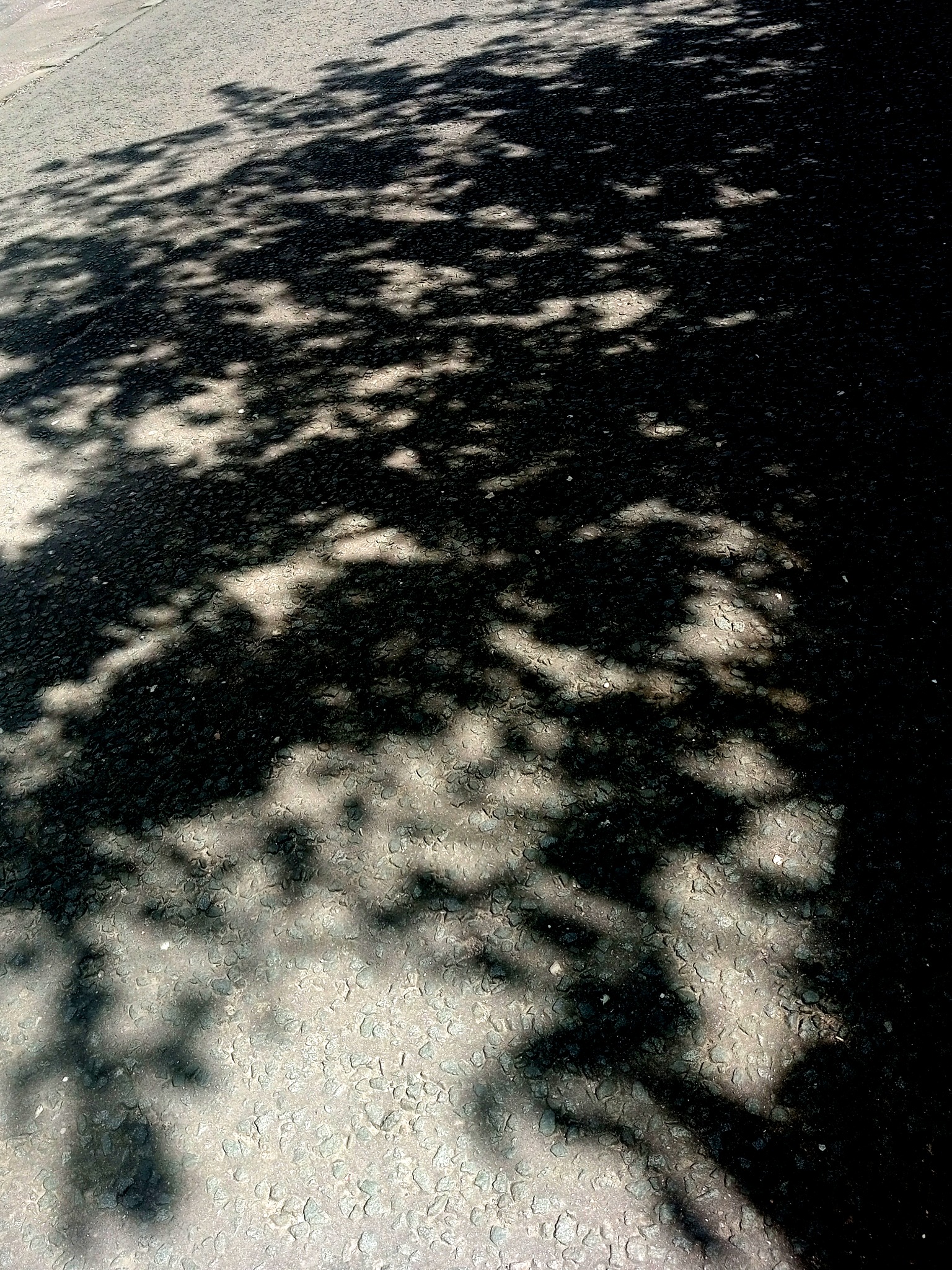Still Patterned